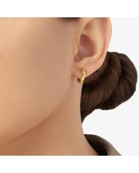 DoDo Granelli Earring in 18KT Yellow Gold DHC3001-GRANX-000OG - photo 1