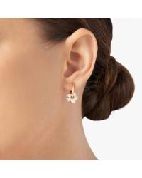 DoDo Flower Earring in 9K Rose Gold DHC3004-FLOWS-EPB9R - photo 1